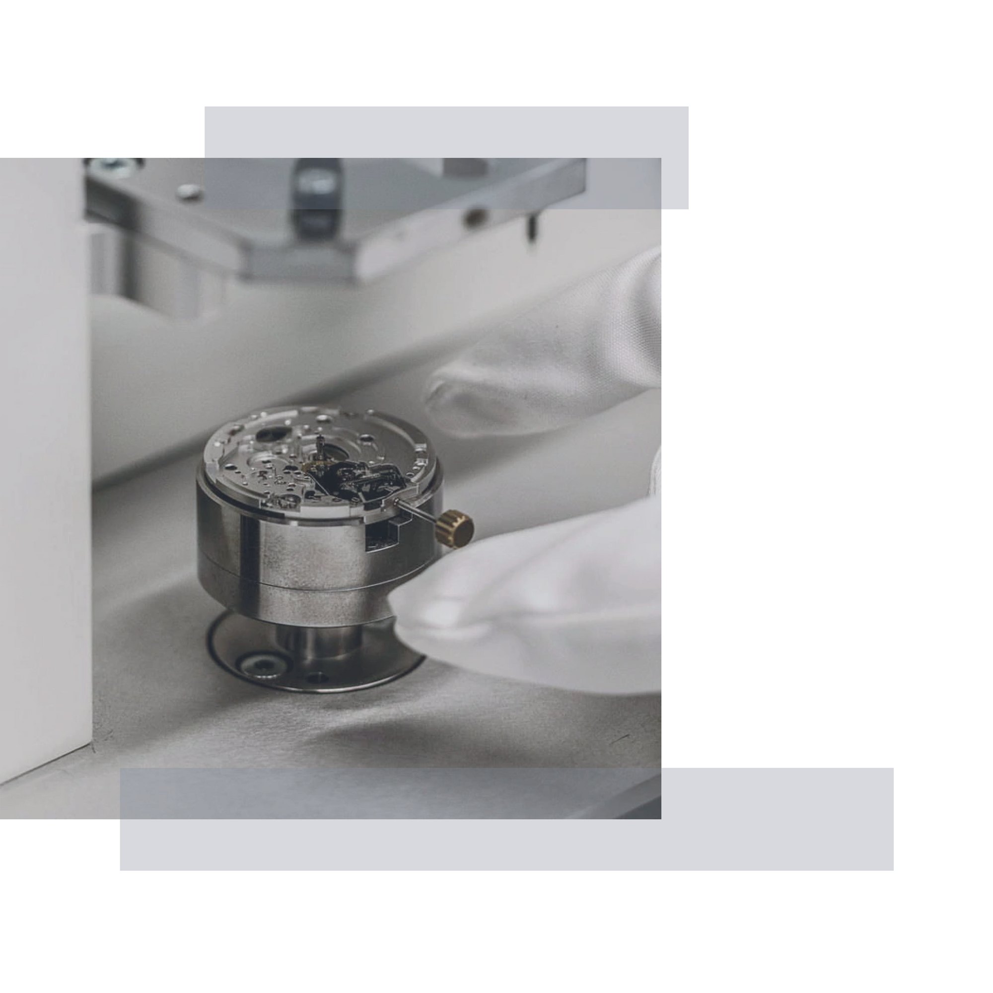 Milus — quality and transparency in watchmaking